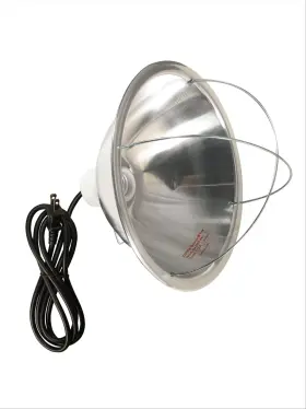 0167 Woods 885492510288 167 Brooder Clamp Lamp With Bulb Guard 10.5 Inch