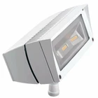 Rab Lighting FFLED18YW Future Flood 18W Warm Led, 120V/277V, White New. Price: $375.71.