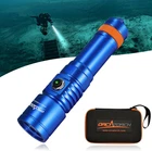 D710 3000 Lumens Underwater Diving Light, IP68 Waterproof, 150M Range New. Price: $301.99.