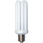 Woods 300W Equivalent Daylight Mogul Base 4U Security Fixture Replacement Cfl New. Price: $27.48.