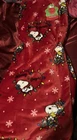 Peanuts Snoopy Berkshire Christmas Lights Woodstock Throw Blanket Merry & Bright New. Price: $38.00.