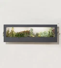 Smart Led Light Landscape Growframe Modernsprout New In Box- Matte Black. Price: $200.00.