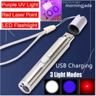 Red Laser Pointer Usb Rechargeable Lazer Uv Led Flashlight Cat Dog Pet Toy New. Price: $8.28.