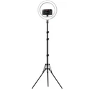 10" Led Ring Light & 2.1M Tripod Stand For INSTA360 X4 / X3 X2 Go Ace Brand. Price: $125.41.